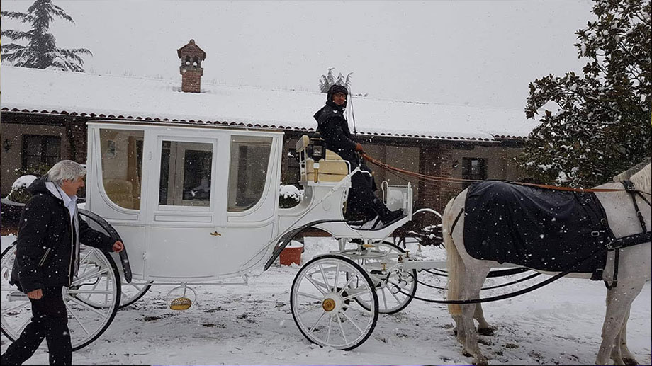 Da Andrea Restaurant & Events - Ristorante, Matrimoni, Cerimonie, Eventi, Feste, Battesimi, Cresime, Comunioni, Pesce, Carne - Scaldasole - Pavia Da Andrea Restaurant & Events - Ristorante, Matrimoni, Cerimonie, Eventi, Feste, Battesimi, Cresime, Comunioni, Pesce, Carne - Scaldasole - Pavia