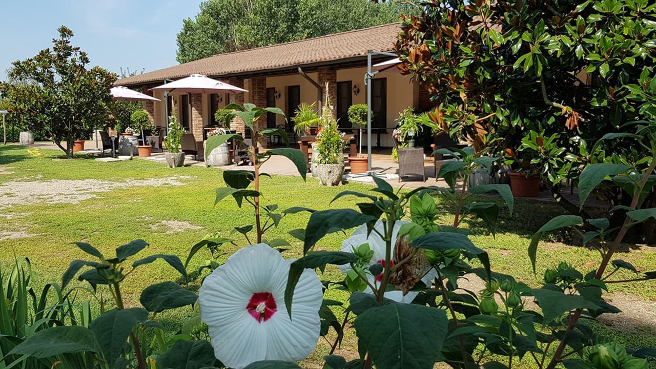 Da Andrea Restaurant & Events - Ristorante, Matrimoni, Cerimonie, Eventi, Feste, Battesimi, Cresime, Comunioni, Pesce, Carne - Scaldasole - Pavia Da Andrea Restaurant & Events - Ristorante, Matrimoni, Cerimonie, Eventi, Feste, Battesimi, Cresime, Comunioni, Pesce, Carne - Scaldasole - Pavia