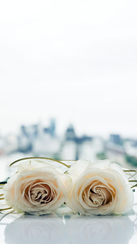 Da Andrea Restaurant & Events - Ristorante, Matrimoni, Cerimonie, Eventi, Feste, Battesimi, Cresime, Comunioni, Pesce, Carne - Scaldasole - Pavia Da Andrea Restaurant & Events - Ristorante, Matrimoni, Cerimonie, Eventi, Feste, Battesimi, Cresime, Comunioni, Pesce, Carne - Scaldasole - Pavia